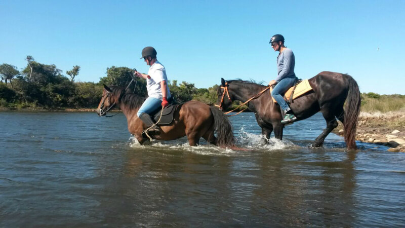 Horse Trails Jeffreys Bay