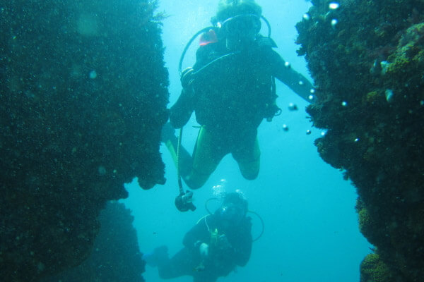 Scuba Diving Storms River Tsitsikamma