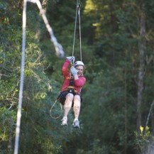 Canopy Tours Tsitsikamma