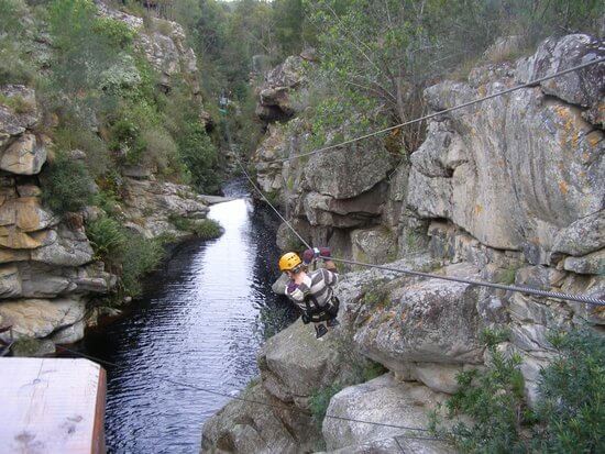 Zipline Tsitsikamma