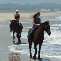 Horse Riding Jeffreys Bay